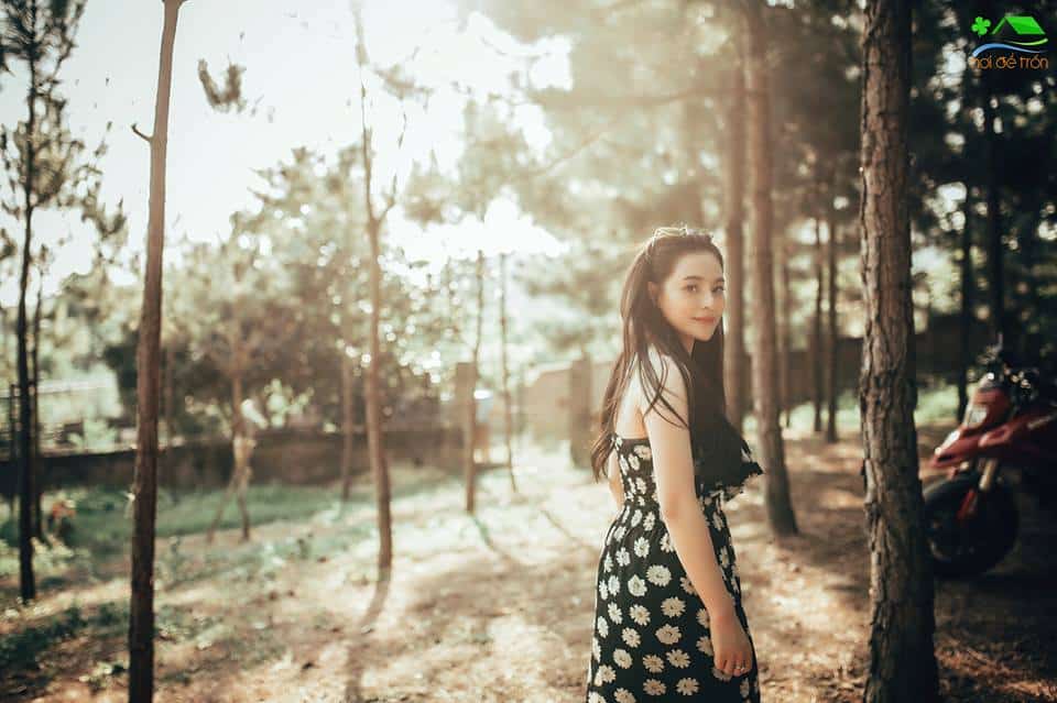 homestay container Hà Nội